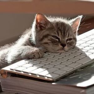 Meet your Posher, Uli